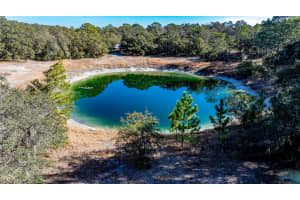 13615 TYRONE STREET, HUDSON, FL 34667 - MLS#MFRO6381472