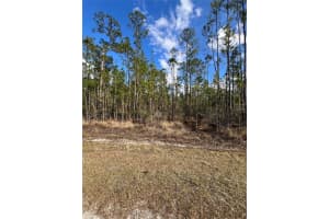 6660 BALBOA BOULEVARD, SEBRING, FL 33872 - MLS#MFRO6381488