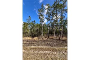 6660 BALBOA BOULEVARD, SEBRING, FL 33872 - MLS#MFRO6381488