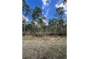 6727 BALBOA BOULEVARD, SEBRING, FL 33872 - MLS#MFRO6381491