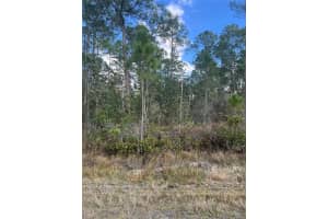 6727 BALBOA BOULEVARD, SEBRING, FL 33872 - MLS#MFRO6381491