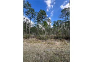 6727 BALBOA BOULEVARD, SEBRING, FL 33872 - MLS#MFRO6381491