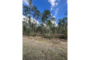 6727 BALBOA BOULEVARD, SEBRING, FL 33872 - MLS#MFRO6381491