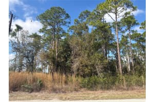 3214 SR-66, SEBRING, FL 33875 - MLS#MFRO6381501