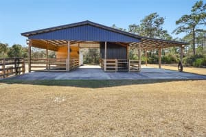 2537 BUCK KNIFE COURT, CHULUOTA, FL 32766 - MLS#MFRO6381556