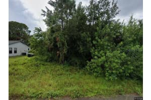 450 CAROLINA AVENUE, PALM BAY, FL 32907 - MLS#MFRO6381673