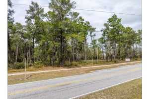 1370 COURTLAND BLVD, DELTONA, FL 32738 - MLS#MFRO6381677