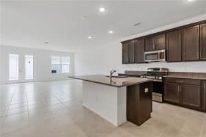 15220 BLUE PEACOCK LANE, WINTER GARDEN, FL 34787 - MLS#MFRO6381797