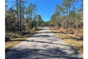 24309 BANYAN LANE, DUNNELLON, FL 34431 - MLS#MFRO6381809