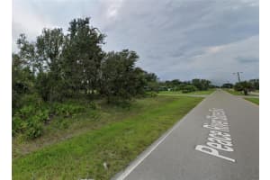 29411 PEACE RIVER SHORES BOULEVARD, PUNTA GORDA, FL 33982 - MLS#MFRO6381839