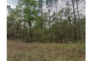 159TH AVENUE RD, OCALA, FL 34481 Sold 03/09/26