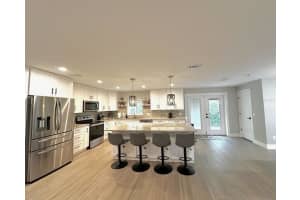 213 TILDEN STREET, WINTER GARDEN, FL 34787 - MLS#MFRO6381848