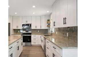 213 TILDEN STREET, WINTER GARDEN, FL 34787 - MLS#MFRO6381848