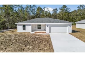 12 MALAUKA PASS, OCKLAWAHA, FL 32179 - MLS#MFRO6381895