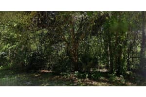 6406 MALVERNE STREET, INVERNESS, FL 34452 - MLS#MFRO6381913