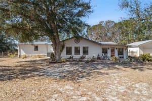 21739 SHADY GROVE ROAD, GROVELAND, FL 34736 - MLS#MFRO6381927