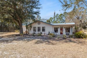 21739 SHADY GROVE ROAD, GROVELAND, FL 34736 - MLS#MFRO6381927