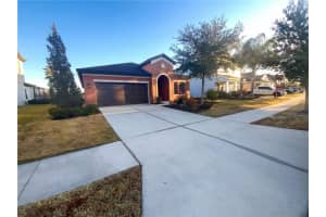 32395 Natural Bridge Rd, WESLEY CHAPEL