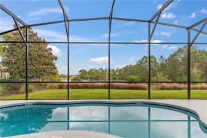 1205 BUTTERFLY ORCHID ROAD, DAVENPORT, FL 33837 - MLS#MFRO6382175