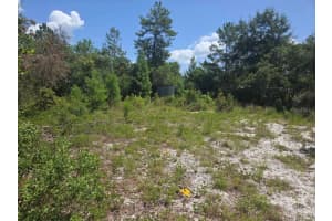 45560 GEORGIA STREET, PAISLEY, FL 32767 - MLS#MFRO6382217