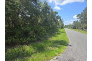 45560 GEORGIA STREET, PAISLEY, FL 32767 - MLS#MFRO6382217