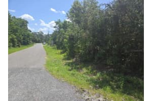 45560 GEORGIA STREET, PAISLEY, FL 32767 - MLS#MFRO6382217