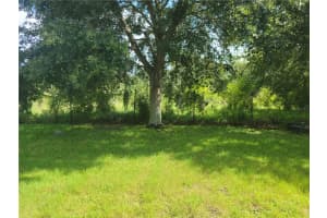 13008 OULTON CIRCLE, ORLANDO, FL 32832 - MLS#MFRO6382254