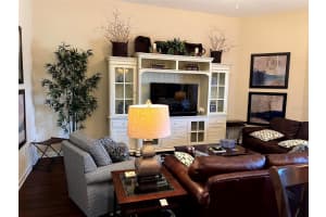 1343 PALMETTO DUNES STREET, DAVENPORT, FL 33896 - MLS#MFRO6382308