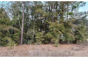 SW 129TH TERRACE ROAD, OCALA, FL 34481 Sold 02/23/26