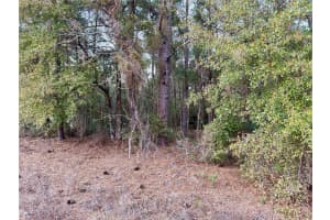 SW 129TH TERRACE ROAD, OCALA, FL 34481 Sold 02/23/26