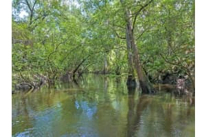 4000 ROUSE ROAD, ORLANDO, FL 32817 - MLS#MFRO6382368