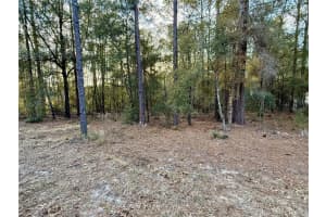 SW 205TH CIRCLE, DUNNELLON, FL 34431 - MLS#MFRO6382559