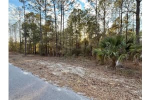 SW 205TH CIRCLE, DUNNELLON, FL 34431 - MLS#MFRO6382559