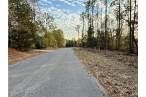 SW 205TH CIRCLE, DUNNELLON, FL 34431 - MLS#MFRO6382559