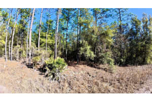 SOUTHWEST 38TH PLACE, OCALA, FL 34481 - MLS#MFRO6382596