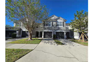 10114 Westpark Preserve Blvd, TAMPA