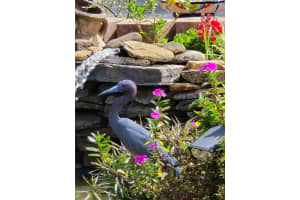 8718 FORT SHEA AVENUE, ORLANDO, FL 32822 - MLS#MFRO6382646