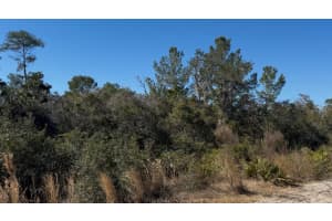 JOYCE (PAPER) ST, DELTONA, FL 32725 - MLS#MFRO6382651