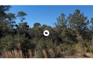 JOYCE (PAPER) ST, DELTONA, FL 32725 - MLS#MFRO6382651