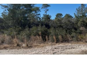 JOYCE (PAPER) ST, DELTONA, FL 32725 - MLS#MFRO6382651