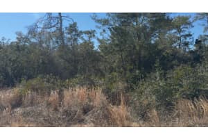 JOYCE (PAPER) ST, DELTONA, FL 32725 - MLS#MFRO6382651