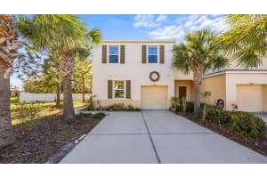 12843 BUFFALO RUN DRIVE, GIBSONTON, FL 33534 - MLS#MFRO6382660