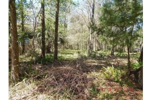 1026 BUIST STREET, ORLANDO, FL 32828 - MLS#MFRO6382682