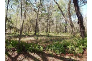 1026 BUIST STREET, ORLANDO, FL 32828 - MLS#MFRO6382682