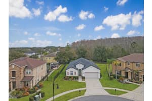 13313 HALKYN POINT, ORLANDO, FL 32832 - MLS#MFRO6382778