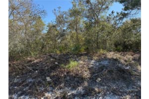 MCBRIDE AVE, DELTONA, FL 32725 - MLS#MFRO6382805