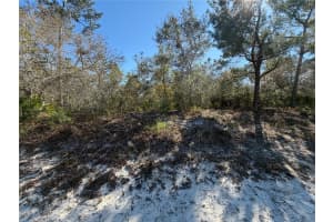 MCBRIDE AVE, DELTONA, FL 32725 - MLS#MFRO6382805