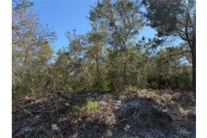 MCBRIDE AVE, DELTONA, FL 32725 - MLS#MFRO6382805