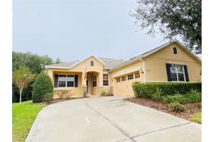 30542 LIPIZZAN TERRACE, MOUNT DORA, FL 32757 - MLS#MFRO6382840