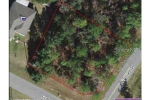 FIR RD, OCALA, FL 34472 - MLS#MFRO6382846